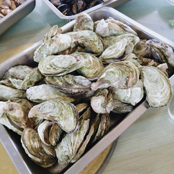 黄免费热门视频推荐